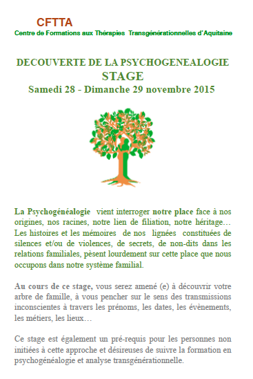 Stage-decouverte-Paris-Novembre-2015